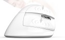 Rechargeable Ergonomic Mouse 2