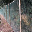 Rede de proteção contra pássaros 3 x 5 m Rede de jardim verde Malha 5 x 5 cm Resistente e leve Rede para árvores de fruta, vinhedos, arbustos e canteiros Proteção das culturas contra pragas 2