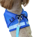 Reflecterend veiligheidstuig voor honden met riem Vest voor kleine honden en puppy&#39;s Borst ademend tuig voor honden van 7,5 - 10 kg 2
