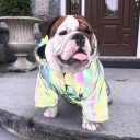 Reflekterende jakke til hunde C863 3