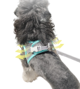 Reflekterende sele til små hunde Åndbar kæledyrsvest Flugtsikre halsbånd Justerbar sele til hunde 0,5 - 1,5 kg 3