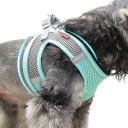 Reflektierendes Geschirr für kleine Hunde, atmungsaktive Haustierweste, Anti-Flucht-Geschirr, verstellbares Hundegeschirr, 1,5–2,5 kg 4