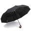 Regenschirm T1378 3