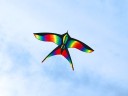 Regnbue flyvende drage 3