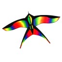 Regnbue flyvende drage 4