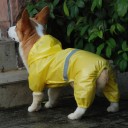 Regnfrakke til hunde 8