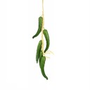 Regroupement artificiel de fruits et légumes 17