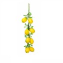 Regroupement artificiel de fruits et légumes 19