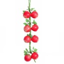 Regroupement artificiel de fruits et légumes 6