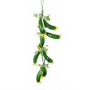Regroupement artificiel de fruits et légumes 11