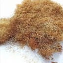 Relva Artificial 50 g Vegetação Seca Modelada para Dioramas e Paisagens 1