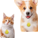 Repellente Ultrasonico per Parassiti e Uccelli Tipo C 55×37×14 mm Repellente Portatile Ricaricabile contro le Zanzare Uso Interno ed Esterno Senza Chimica 6