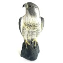 Répulseur de oiseaux de jardin 6