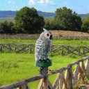 Répulseur de oiseaux de jardin 2