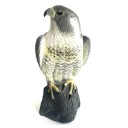 Répulseur de oiseaux de jardin 3