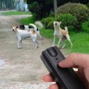 Répulseur ultrasonique pour chiens 4