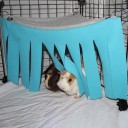 Resting Platform and Hammock for Rodents in Cage 5