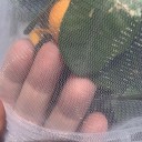 Rețea de protecție pentru plante împotriva păsărilor și dăunătorilor 50×75 cm rețea din nailon albă pentru protecția pomilor fructiferi și plantelor 3