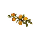 Rintaneula marjoilla 2