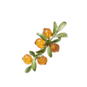 Rintaneula marjoilla 3