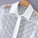 Robe chemise transparente 2