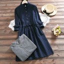 Robe d'automne avec col 2