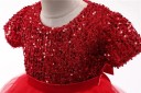 Robes de bal pour filles N175 6