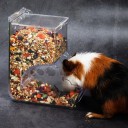 Rodent Food Dispenser 6