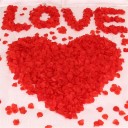 Rose Petals 2000 pcs 12