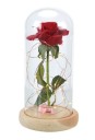 Rose rouge lumineuse LED dans un bocal en verre 6