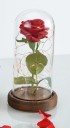 Rose rouge lumineuse LED dans un bocal en verre 5