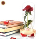 Rose rouge lumineuse LED dans un bocal en verre 2
