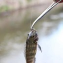 Rostfri fisketång med böjd spets för att ta av krokar 18 cm Stabil fisketång med ergonomiskt handtag Slitstark tång för att ta bort krokar 4