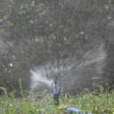 Rotary Sprinkler Nozzle 4