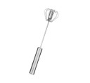 Rotary Whisk 1