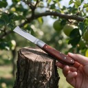 Roubovací nůž skládací s rovnou čepelí 16,5 cm Čepel z nerezové oceli 3Cr13 a rukojeť z palisandru Hnědý Pro roubování a očkování 5