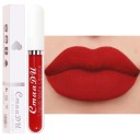 Rouge à lèvres liquide mat longue tenue Rouge à lèvres mat longue tenue Rouge à lèvres hydratant avec finition mate 13