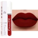 Rouge à lèvres liquide mat longue tenue Rouge à lèvres mat longue tenue Rouge à lèvres hydratant avec finition mate 17