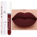 Rouge à lèvres liquide mat longue tenue Rouge à lèvres mat longue tenue Rouge à lèvres hydratant avec finition mate 18