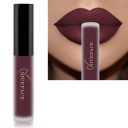 Rouge à lèvres liquide mat velouté avec effet waterproof Rouge à lèvres longue tenue Waterproof rouge à lèvres velouté 3