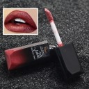 Rouge à lèvres liquide waterproof PUDAIER 21