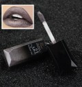 Rouge à lèvres liquide waterproof PUDAIER 22