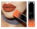 Rouge à lèvres liquide waterproof PUDAIER 5