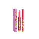 Rouge à lèvres longue tenue brillant Couleur intense Effet hydratant Fini crémeux lisse Résistant aux bavures Confortable à porter 2 g 1