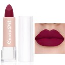 Rouge à lèvres mat avec effet longue tenue et résistant à l'eau Maquillage pour les lèvres Cosmétique résistante à l'eau 9