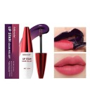 Rouge à lèvres mat démaquillable et waterproof Pigmentation intense Résistant au transfert Applicateur pour une application précise Effet velours 10 ml 4