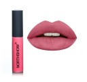 Rouge à lèvres mat sexy 16