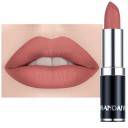 Rouge à lèvres mat velouté Longue tenue et maquillage à lèvres résistant à l'eau 11