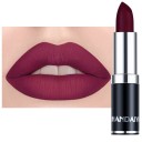 Rouge à lèvres mat velouté Longue tenue et maquillage à lèvres résistant à l'eau 12