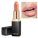 Rouge à lèvres pailleté waterproof 16